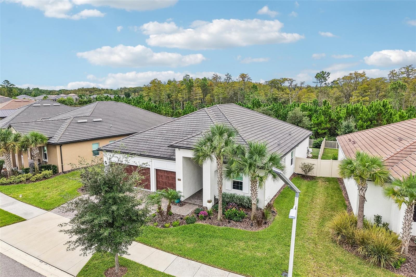 17022 Forge Surf St Property Photo 47
