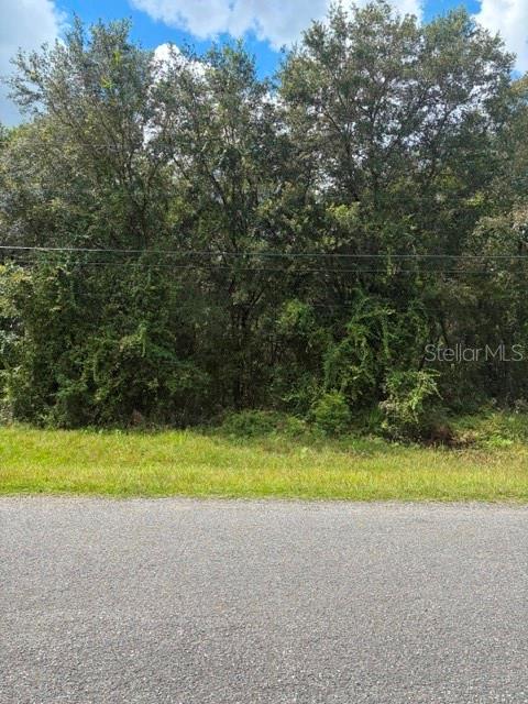 5177 Culbreath Rd Property Photo 2