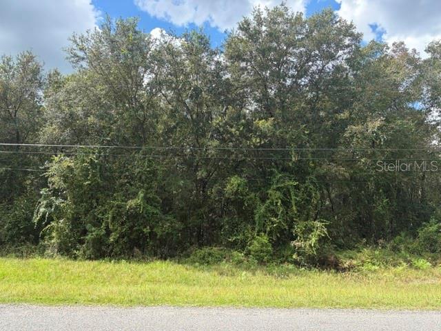 5177 Culbreath Rd Property Photo 3