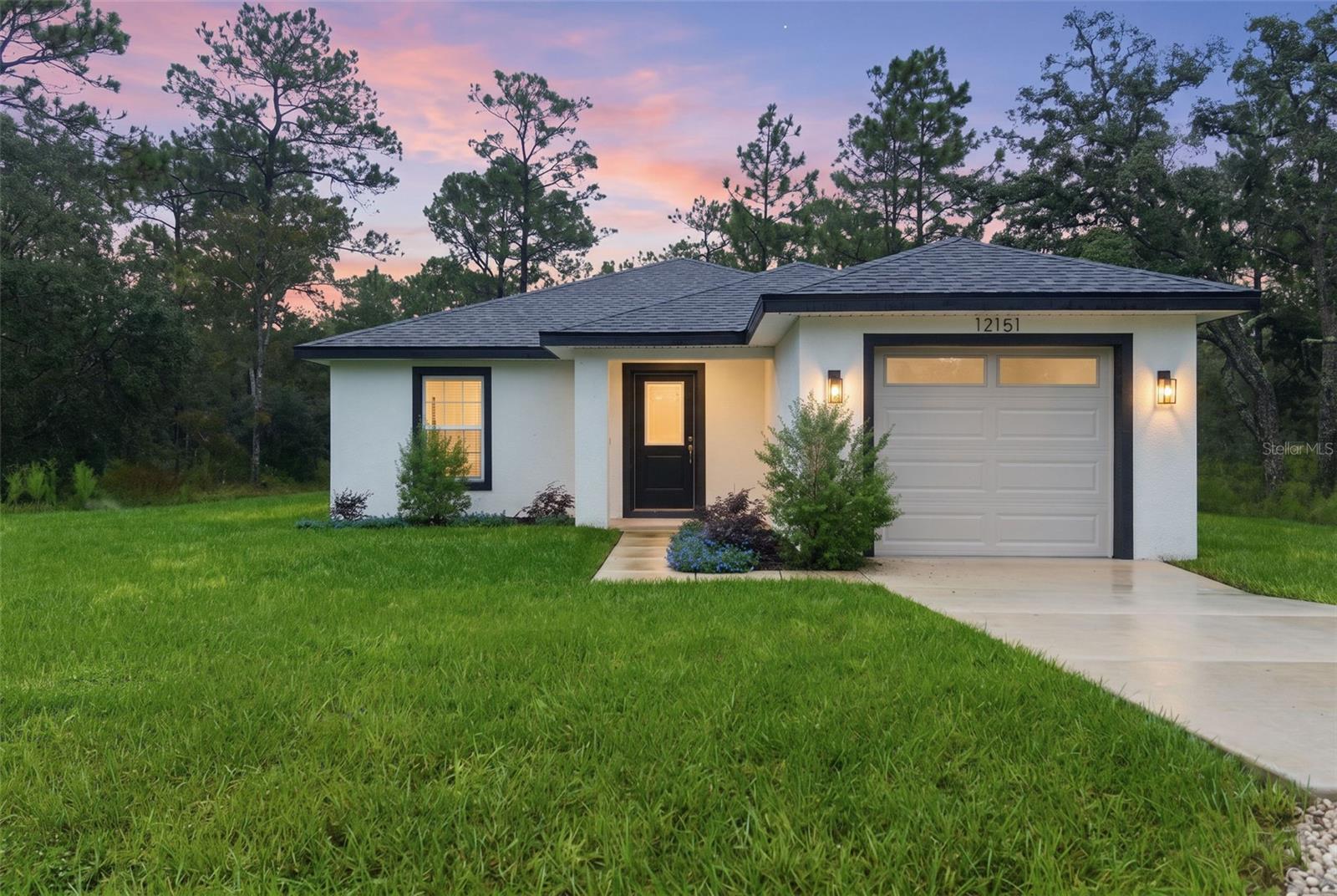 12151 SORA AVE Property Photo 1