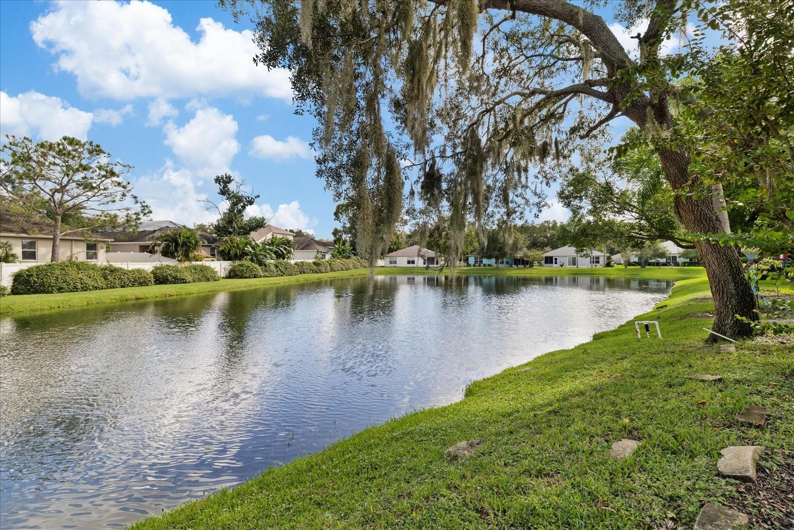 12128 Loblolly Pine Dr Property Photo 40