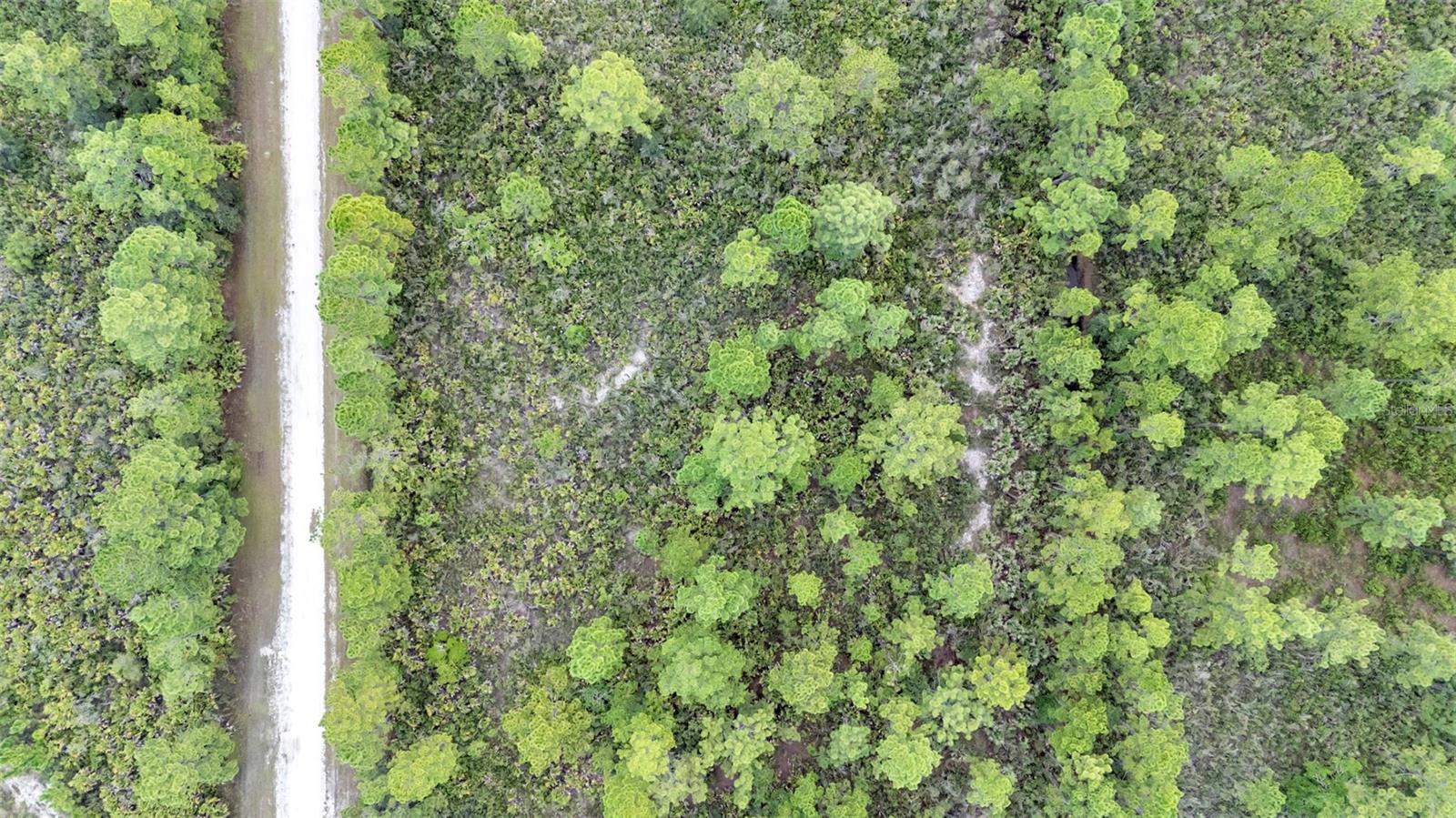 0 Orlando Dr Property Photo 3