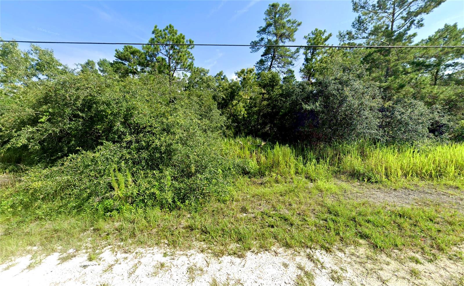 7301 BAHAMA SWALLOW AVE Property Photo 1