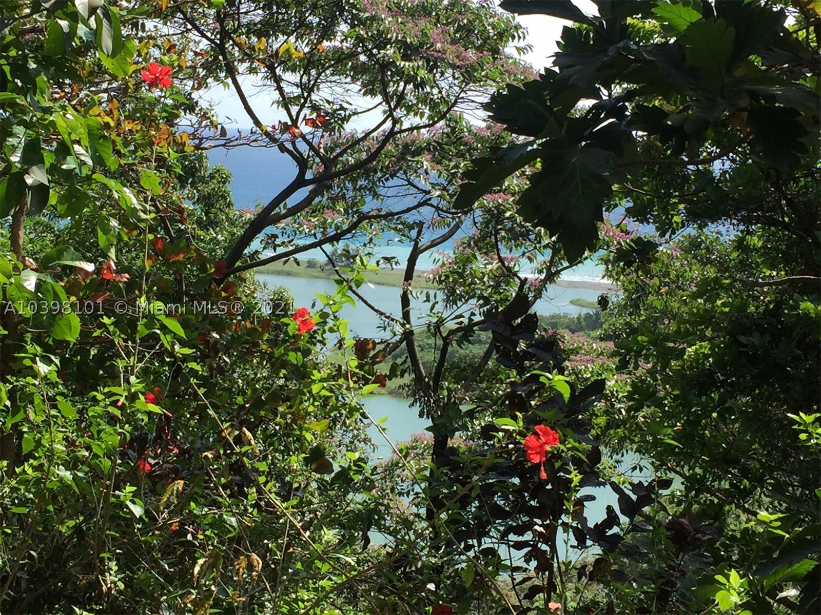 1 Carate Osa Peninsula Property Photo 24