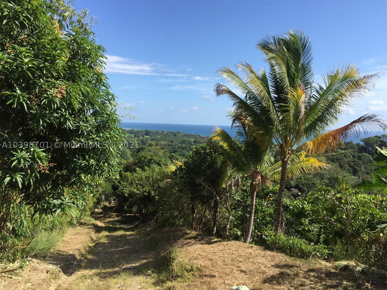 1 Carate Osa Peninsula Property Photo 25