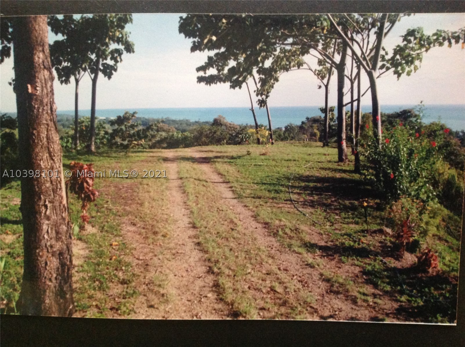 1 Carate Osa Peninsula Property Photo 27