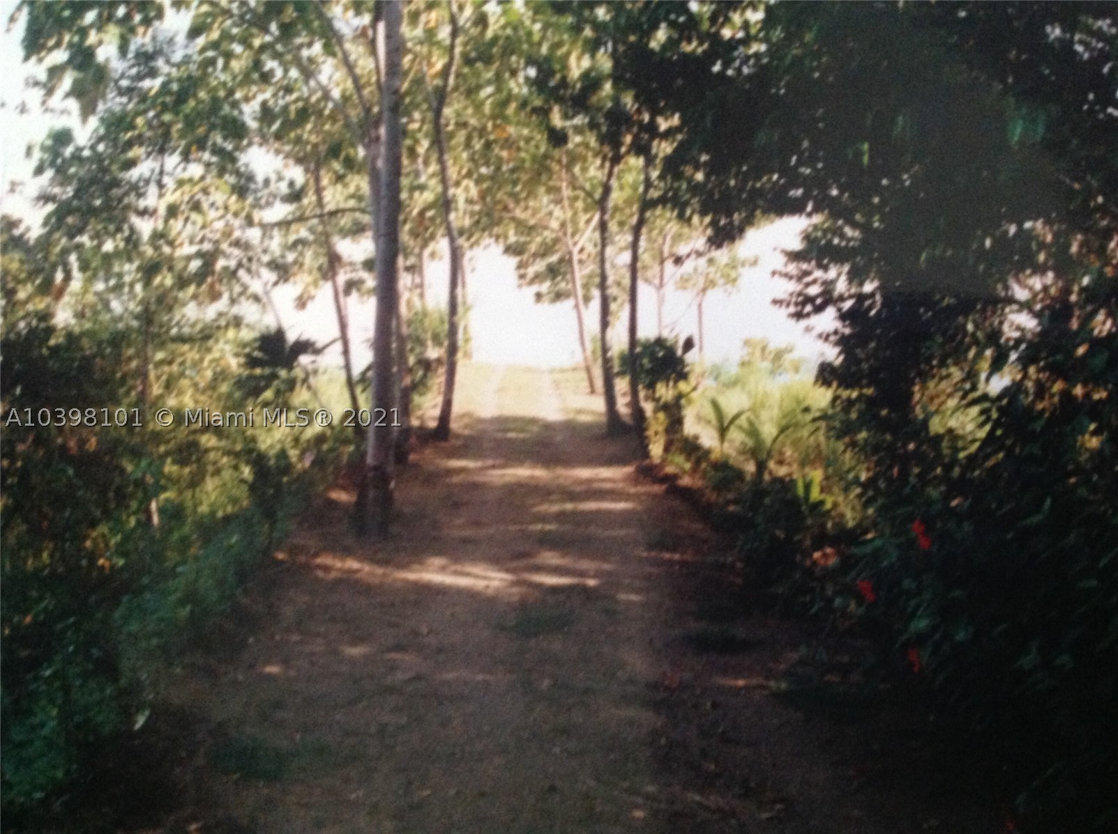 1 Carate Osa Peninsula Property Photo 29