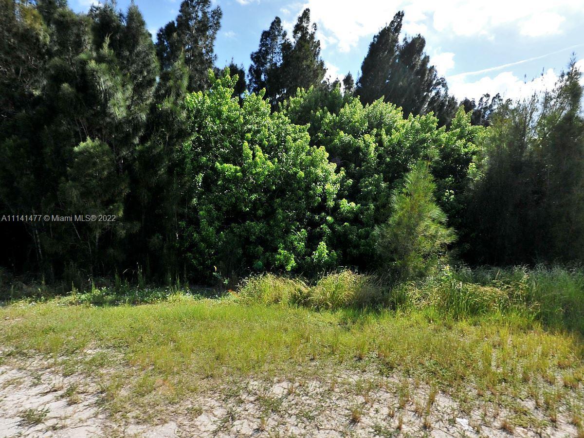 55 Savannah Rd Property Photo 1