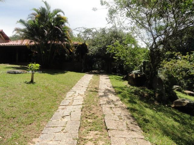 Ilha Do Dentista Property Photo 19