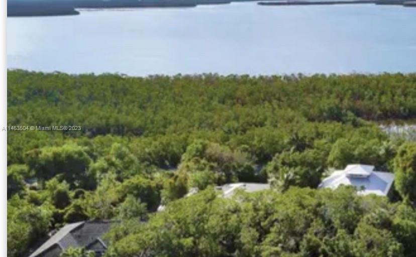 2044 Dogwoods Property Photo 5