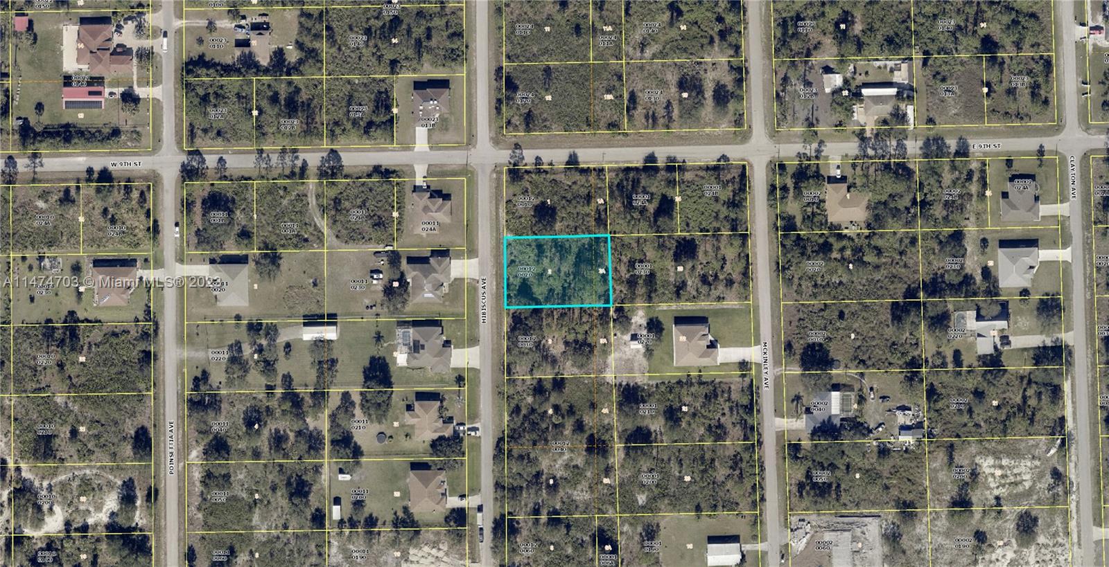 820 Hibiscus Ave Property Photo 1