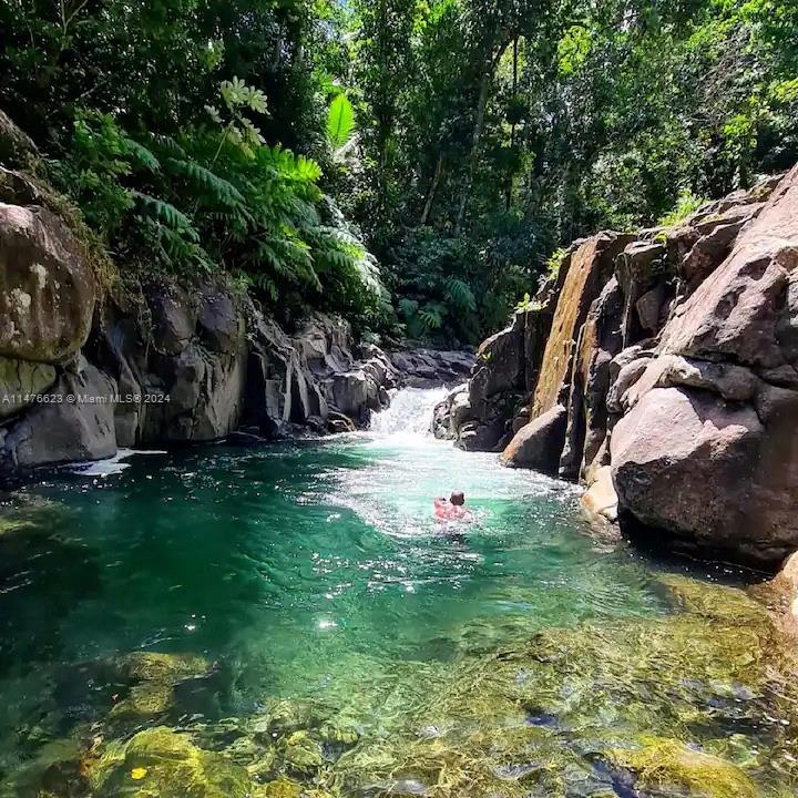 0 Calibishe, Dominica Property Photo 12
