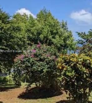 0 Calibishe, Dominica Property Photo 16