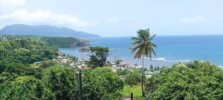 0 Calibishe, Dominica Property Photo 39