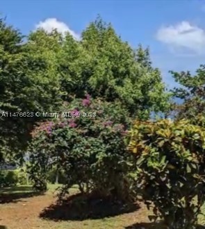 0 Calibishe, Dominica Property Photo 16
