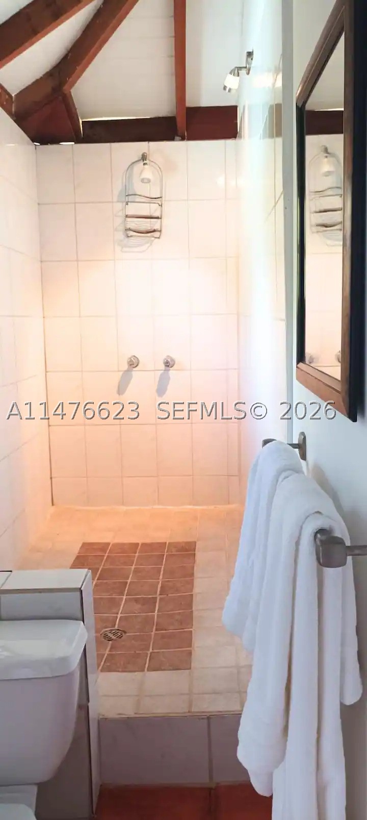 0 Calibishe, Dominica Property Photo 37