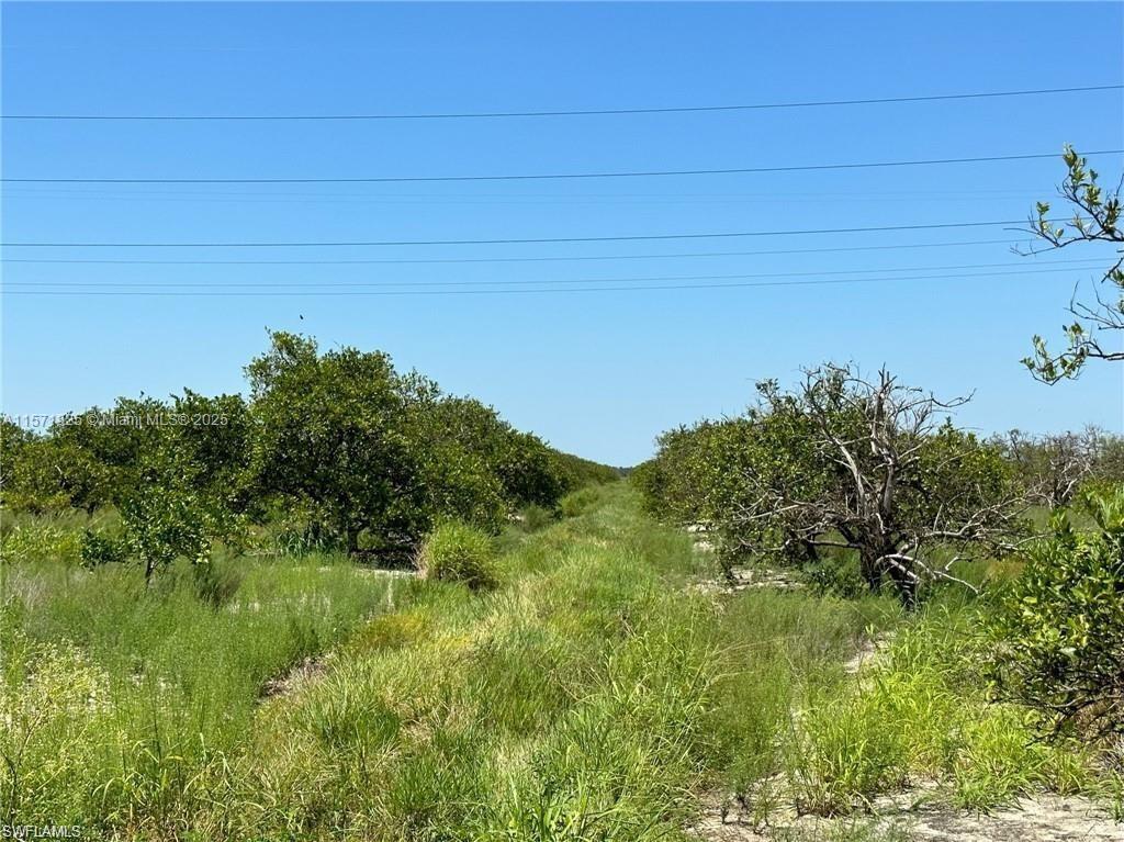 0 6th Sears Road Property Photo 5