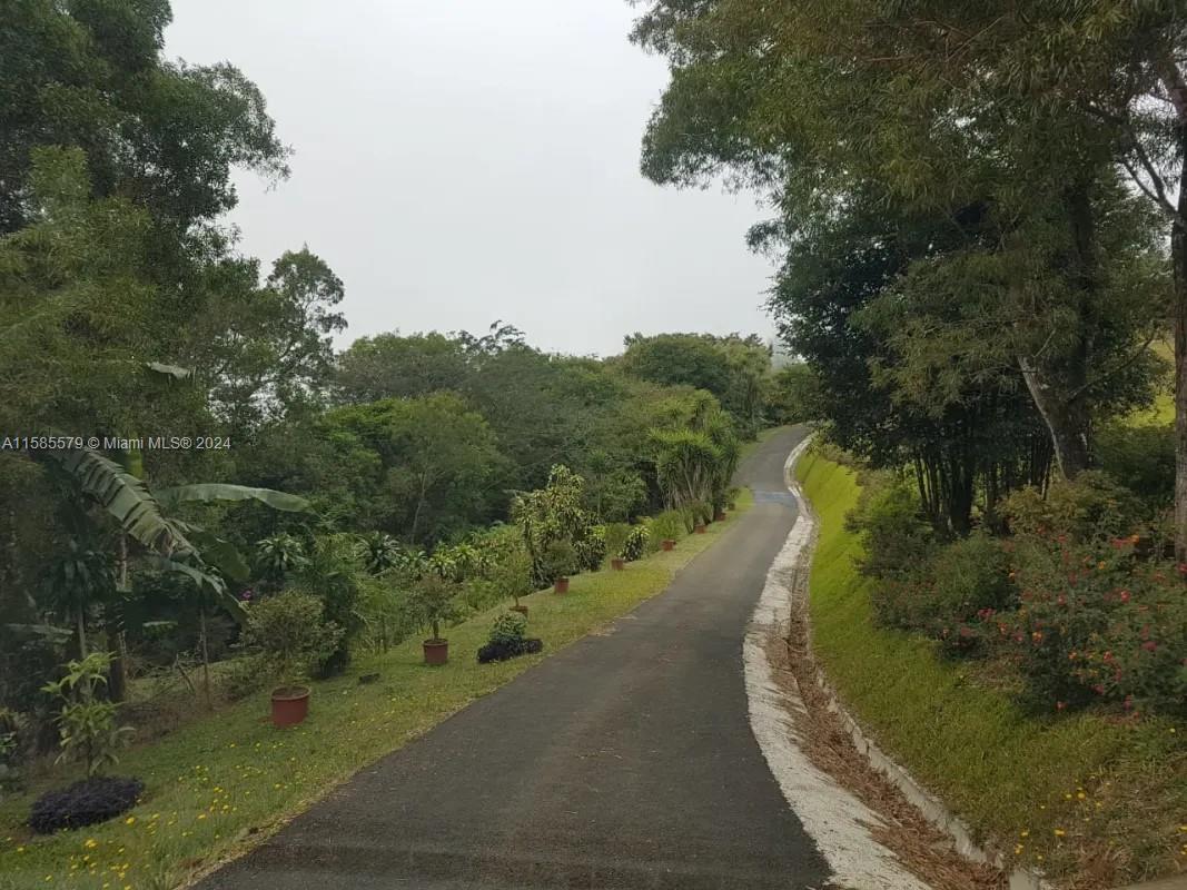 Sin # Zarcero Canuela Property Photo 19