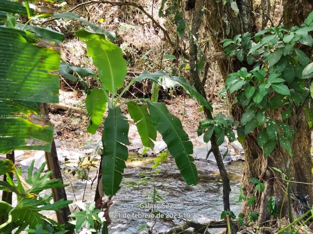 No # Puente De Piedra Y Tacares Alajuela Grecia C R Property Photo 1