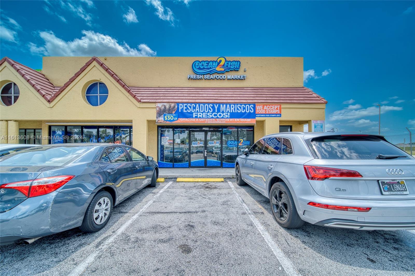 Top Of The Line Fish & Seafood Market With Distribution In Miami Property Photo 25