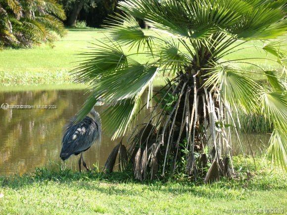 466 Rewing St Property Photo 39