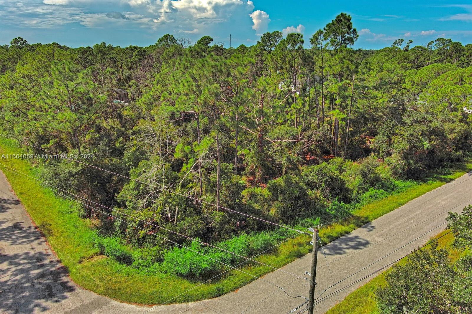 #1 Casanova Ave Property Photo 1