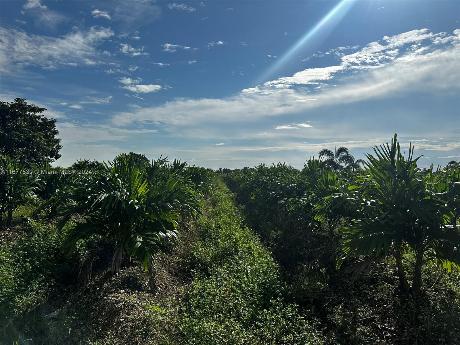 374xx Sw 190 Ave Property Photo 9