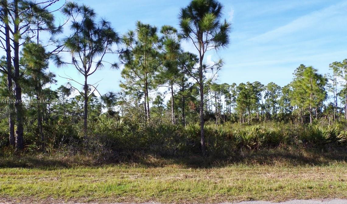 12090 Kraft Ave Property Photo 1