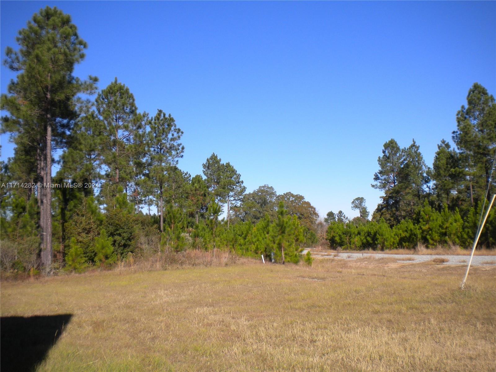 A11714282 Property Photo