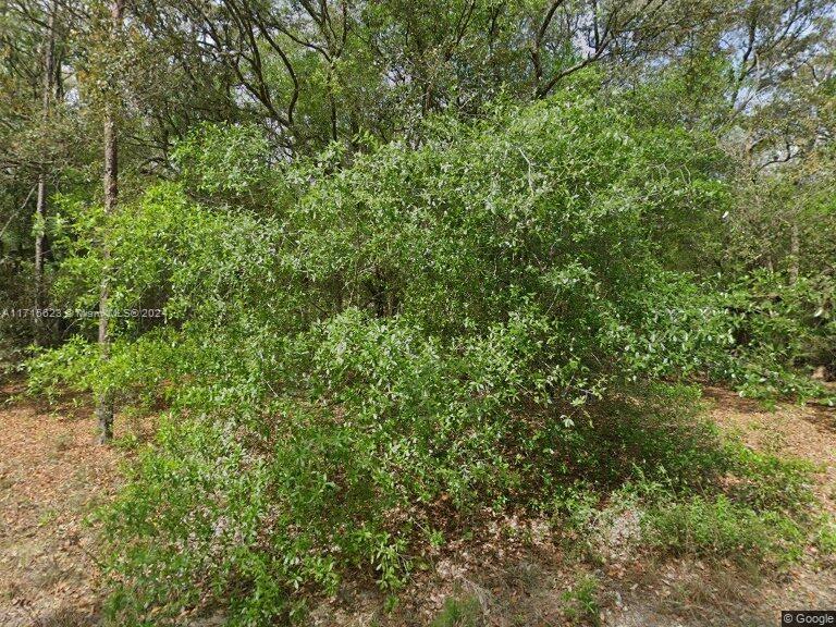 215 Wilson Av Property Photo