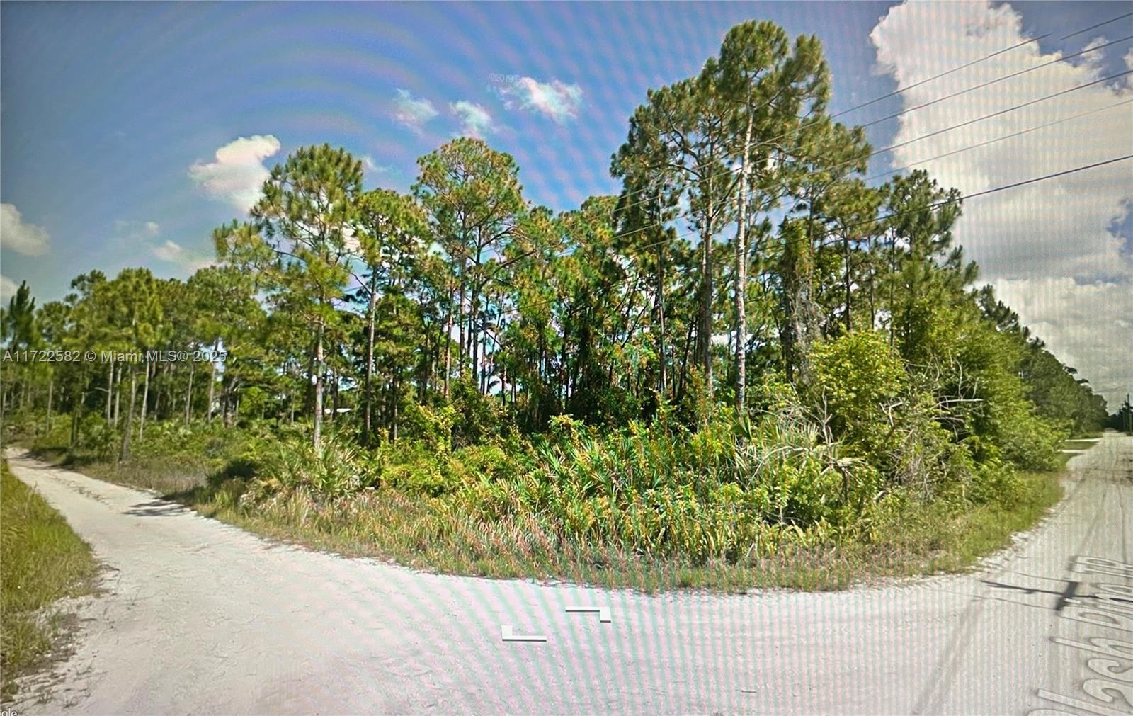 0 Slash Pine Trl Property Photo 1