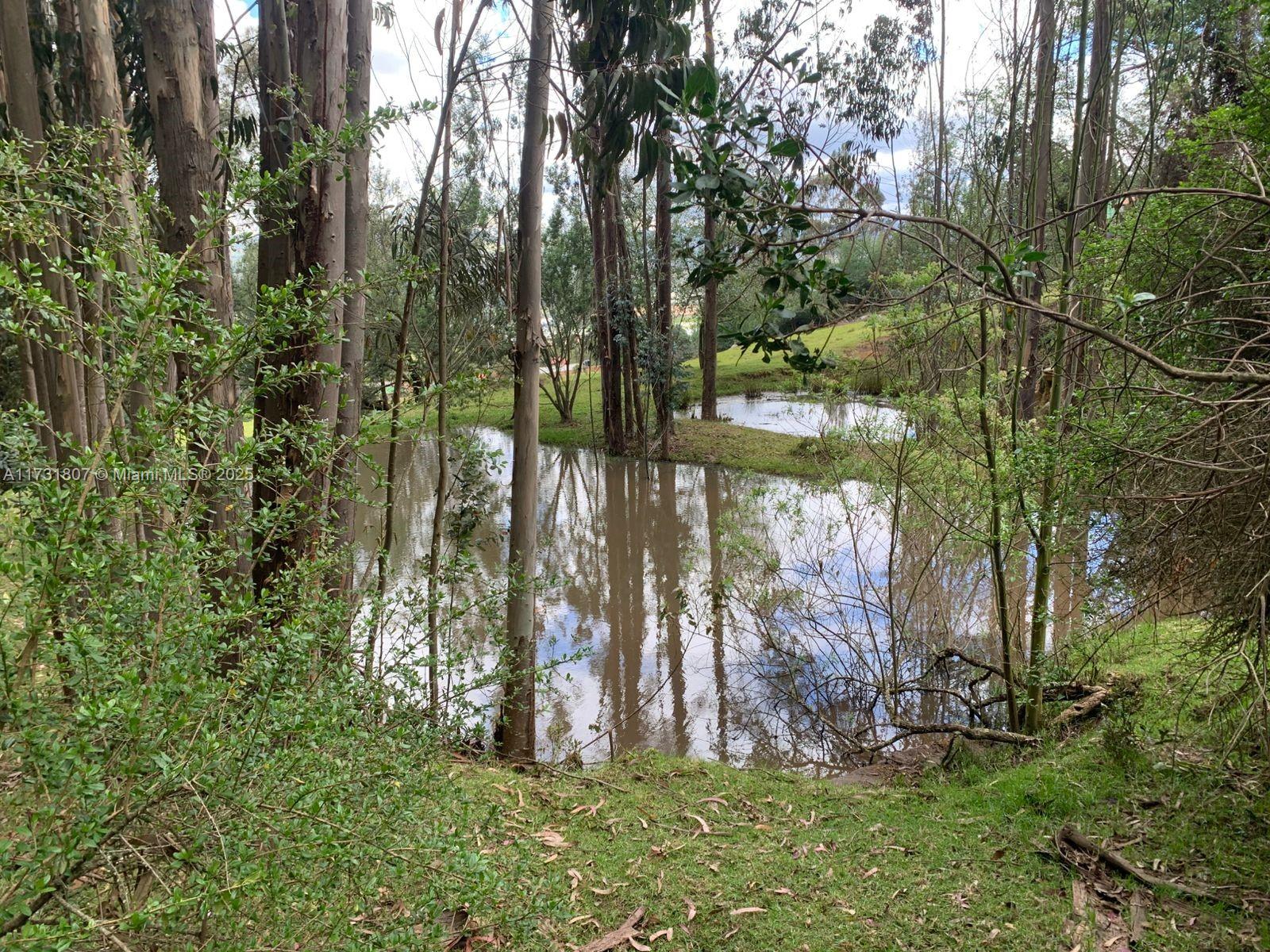 0 Nemocon / Colombia Property Photo 30