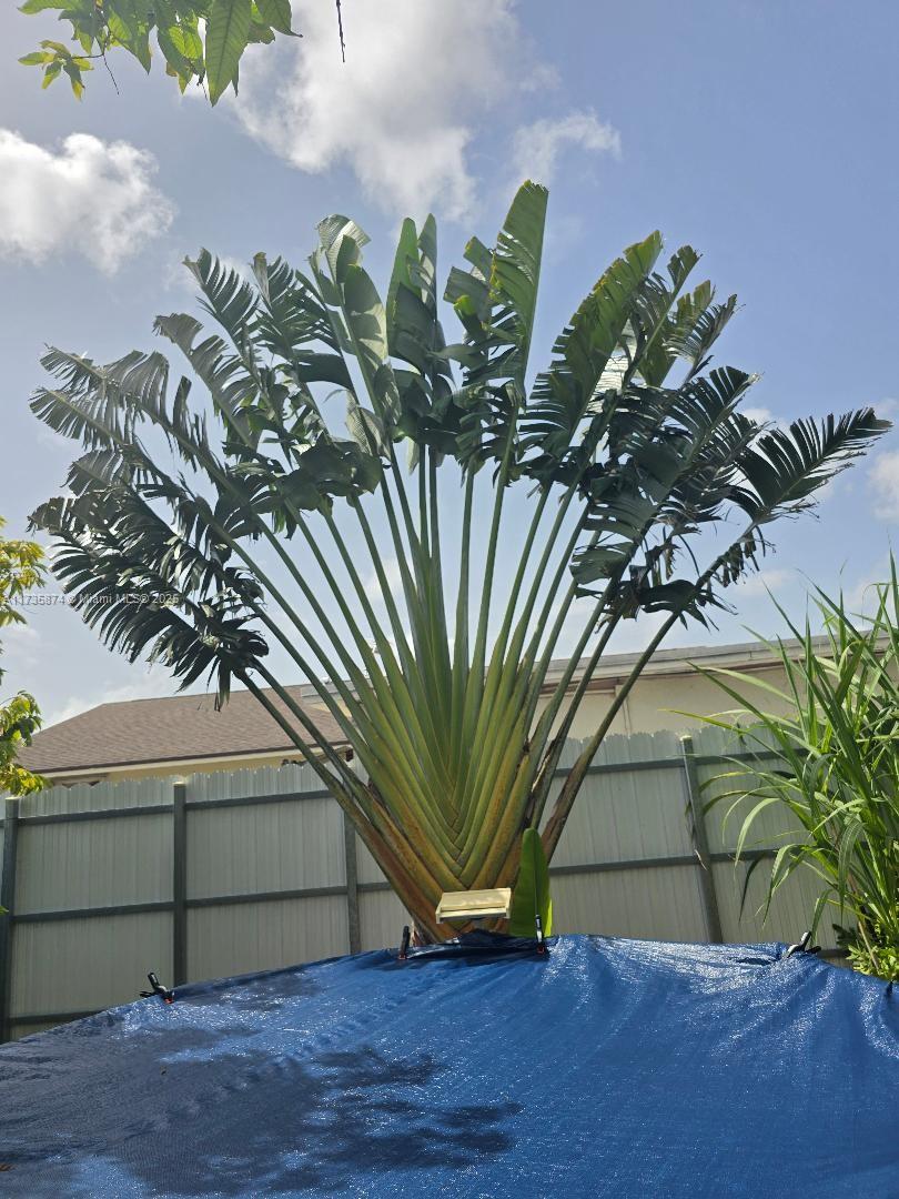 15221 Sw 308 St. Property Photo 20