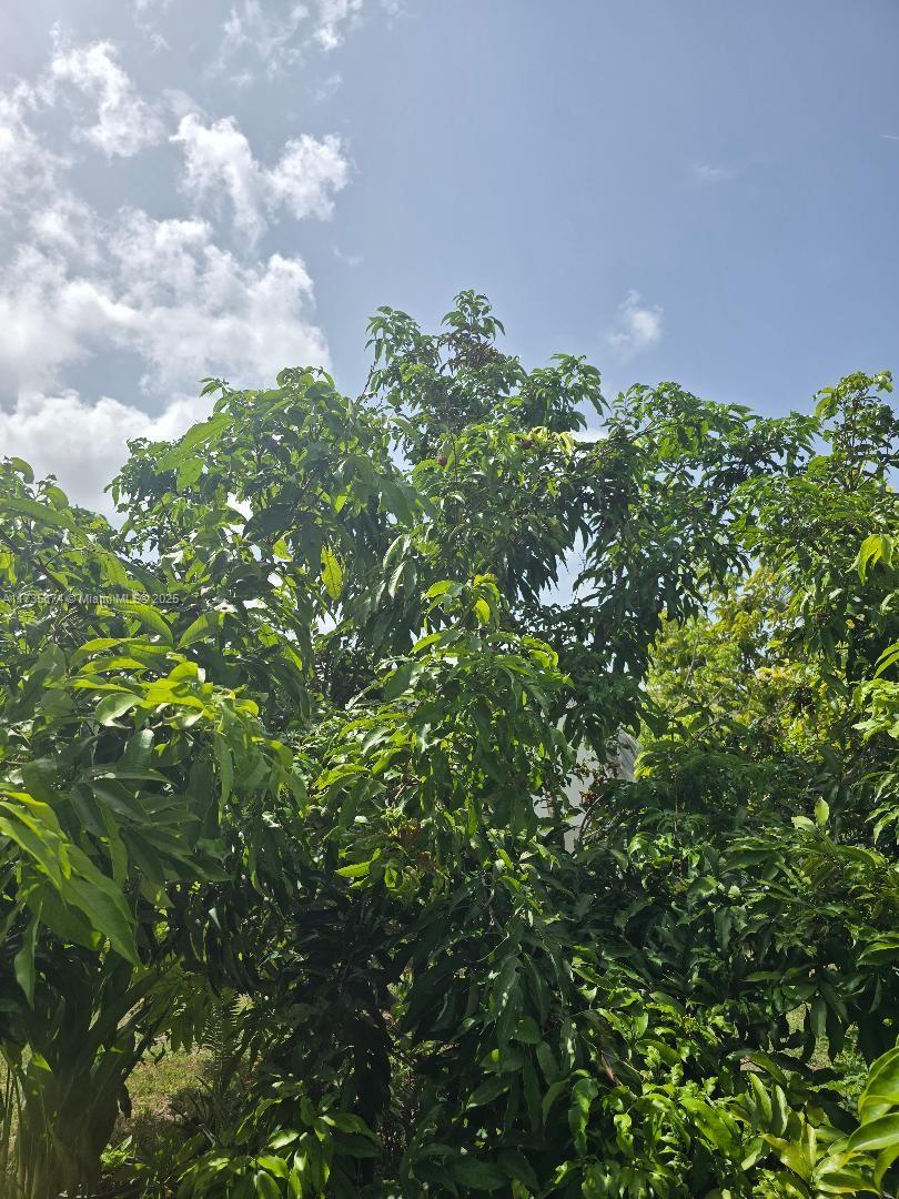 15221 Sw 308 St. Property Photo 22