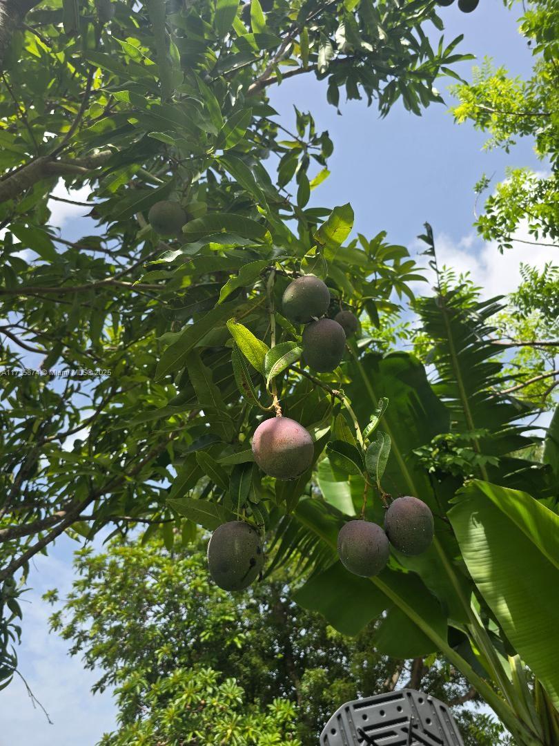 15221 Sw 308 St. Property Photo 23