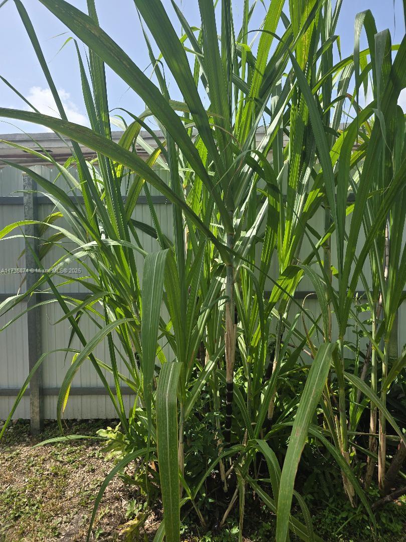 15221 Sw 308 St. Property Photo 24