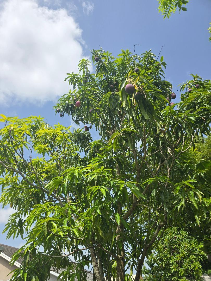 15221 Sw 308 St. Property Photo 25