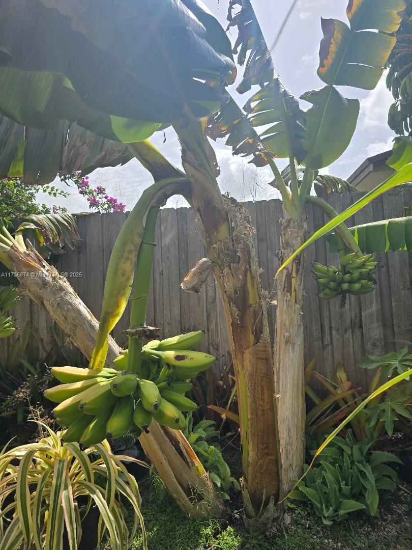 15221 Sw 308 St. Property Photo 26