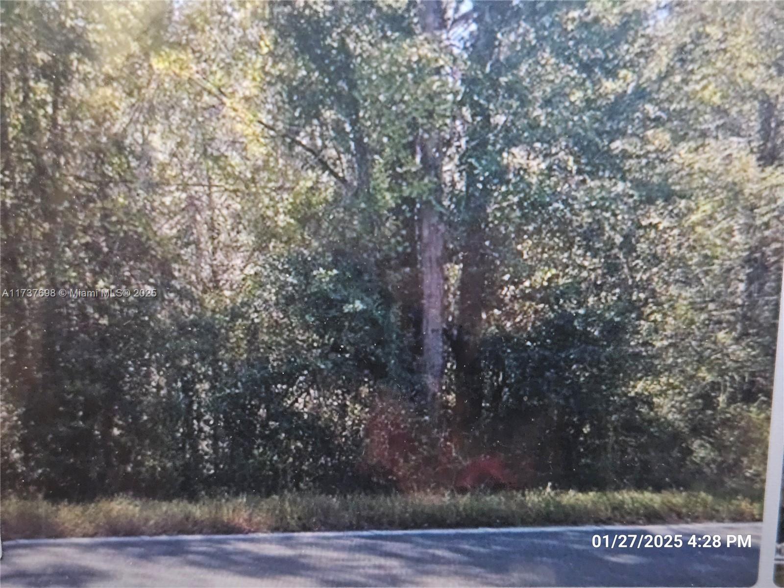 1146 COUNTY RD 20A Property Photo 1