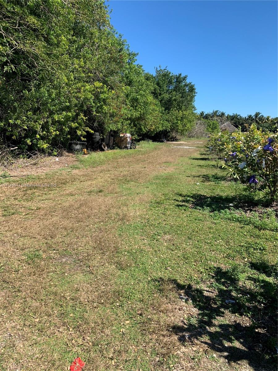 0 Tbd Property Photo 3