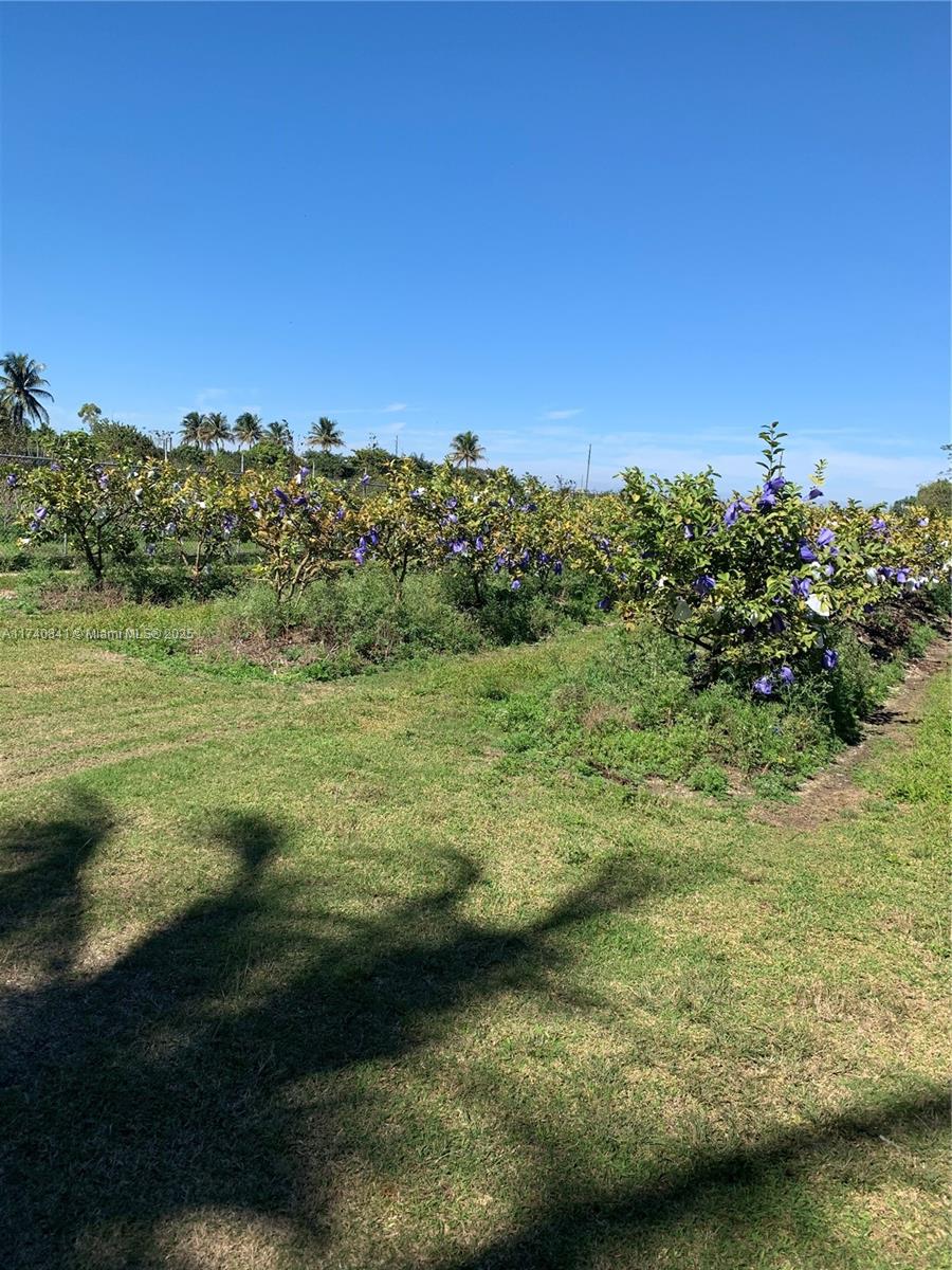 0 Tbd Property Photo 6