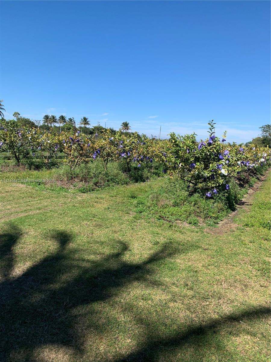 0 Tbd Property Photo 7