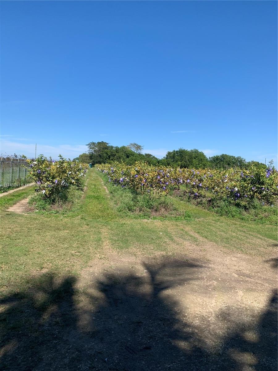 0 Tbd Property Photo 9