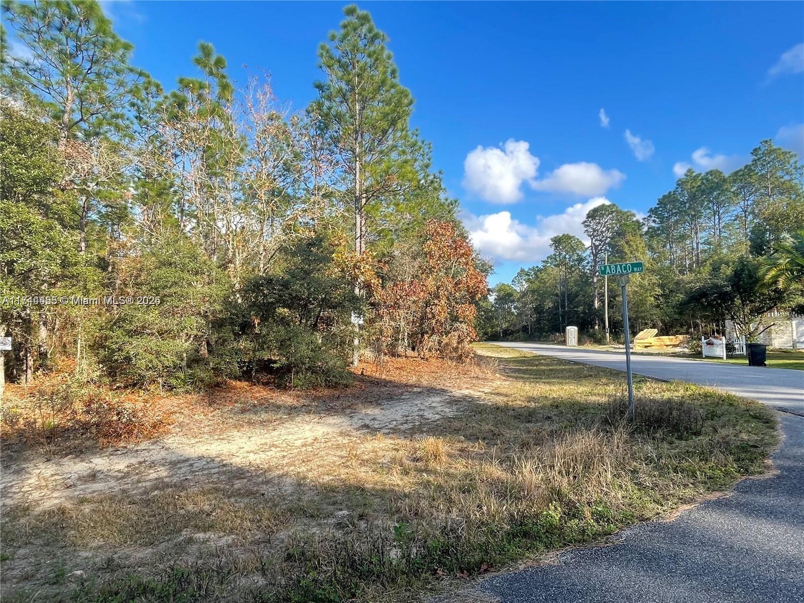 3279 W Talinum Pl Property Photo