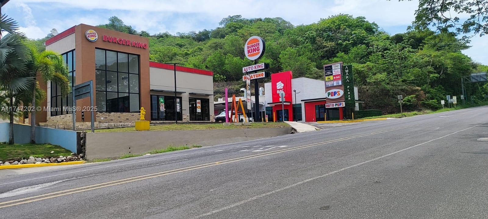 Ruta Nacional Primaria 21 Nicoya Property Photo