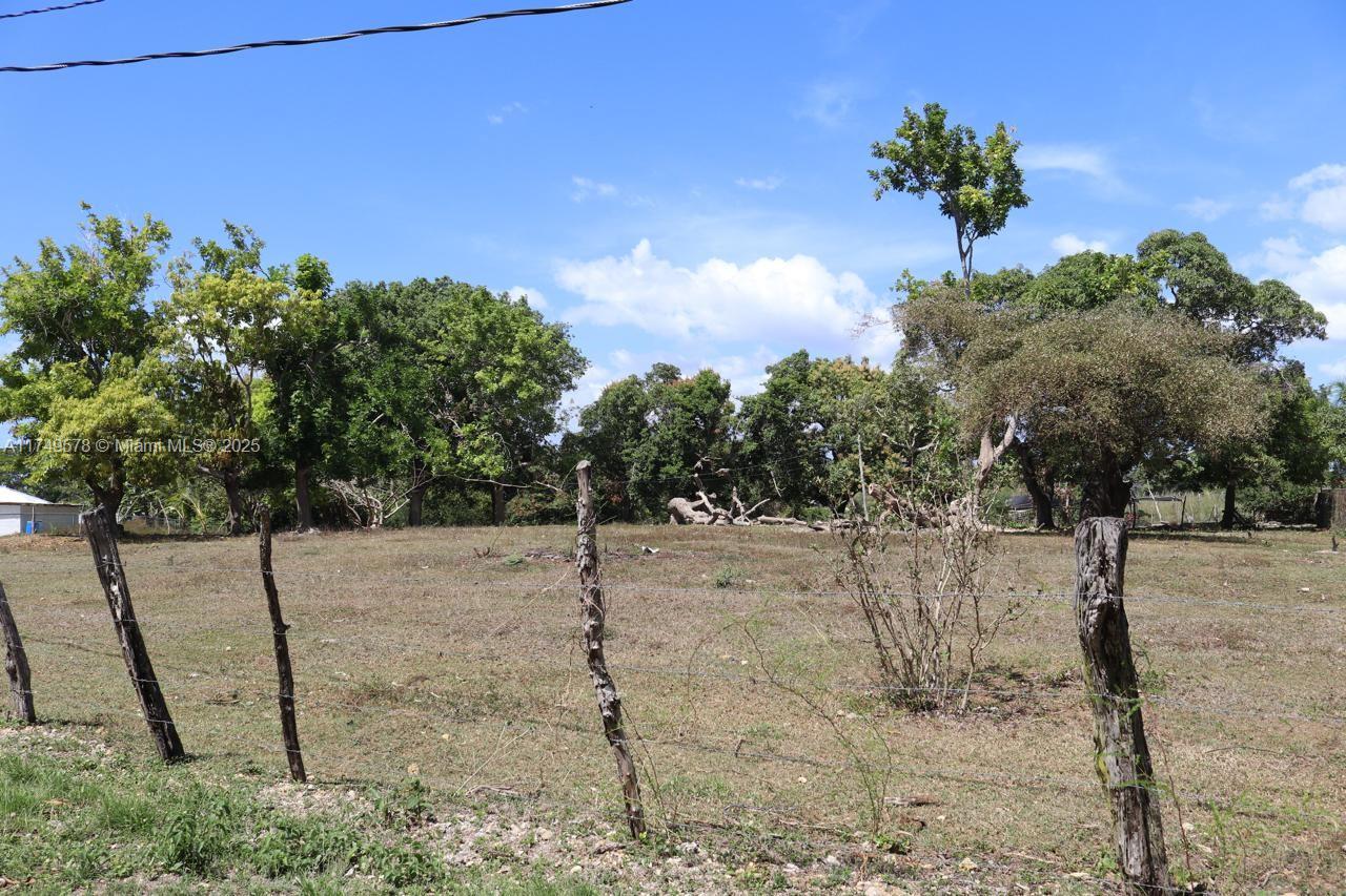 Part Of 80 Central Road Property Photo