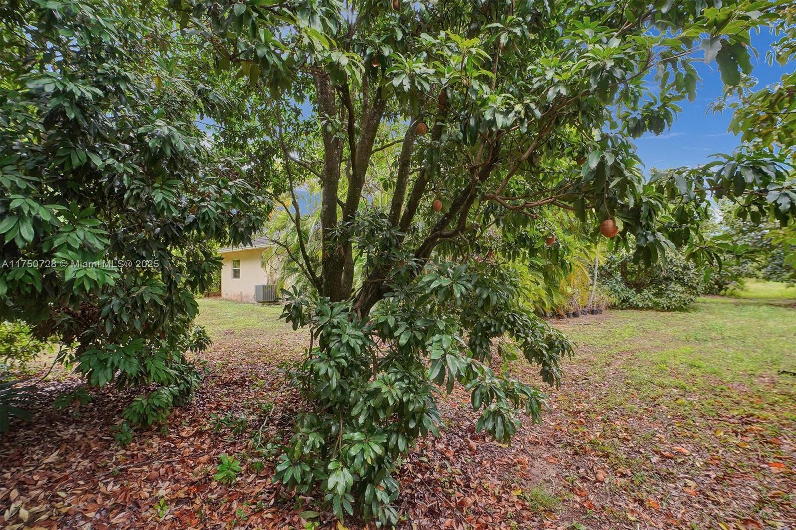 23451 Sw 162nd Ave Property Photo 47