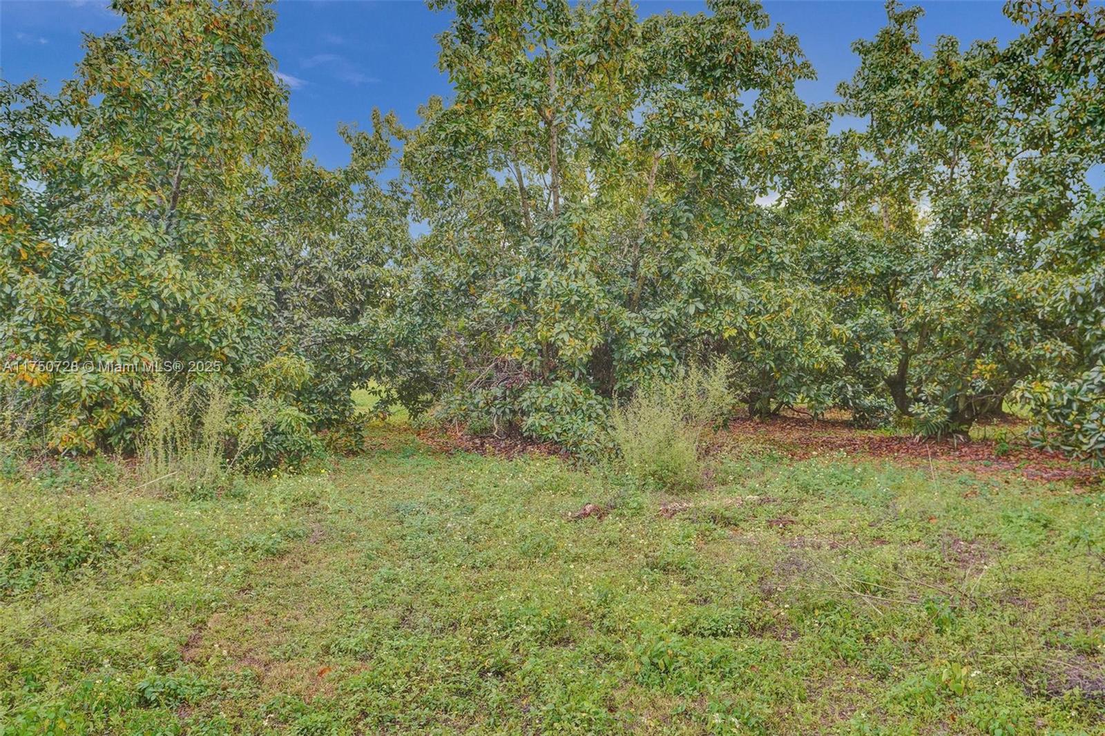 23451 Sw 162nd Ave Property Photo 48