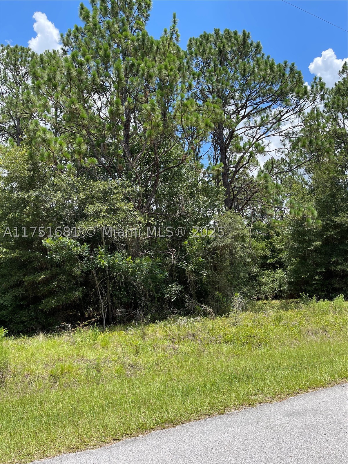Tbd Sw 59th Ln Property Photo 3