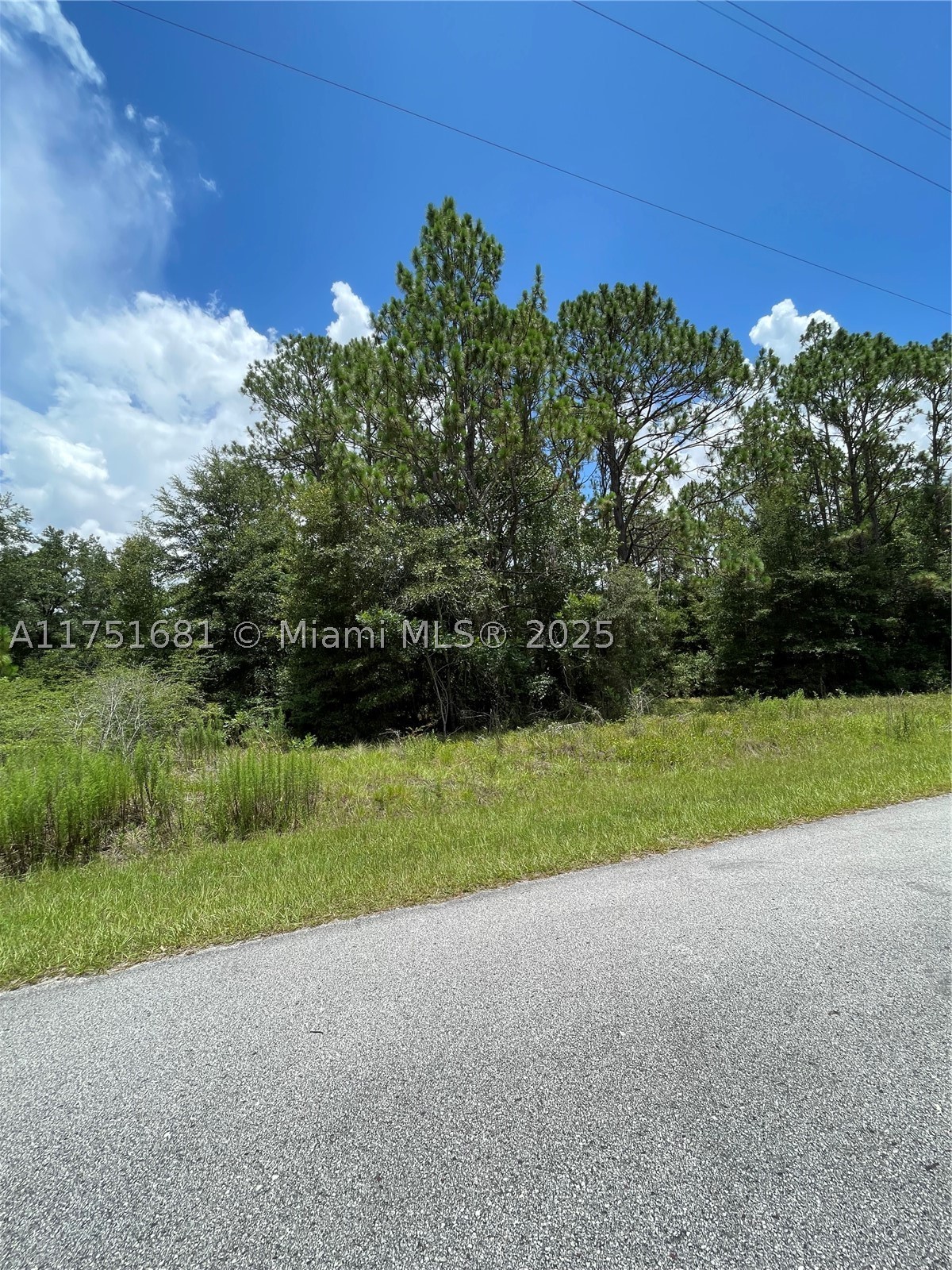 Tbd Sw 59th Ln Property Photo 4